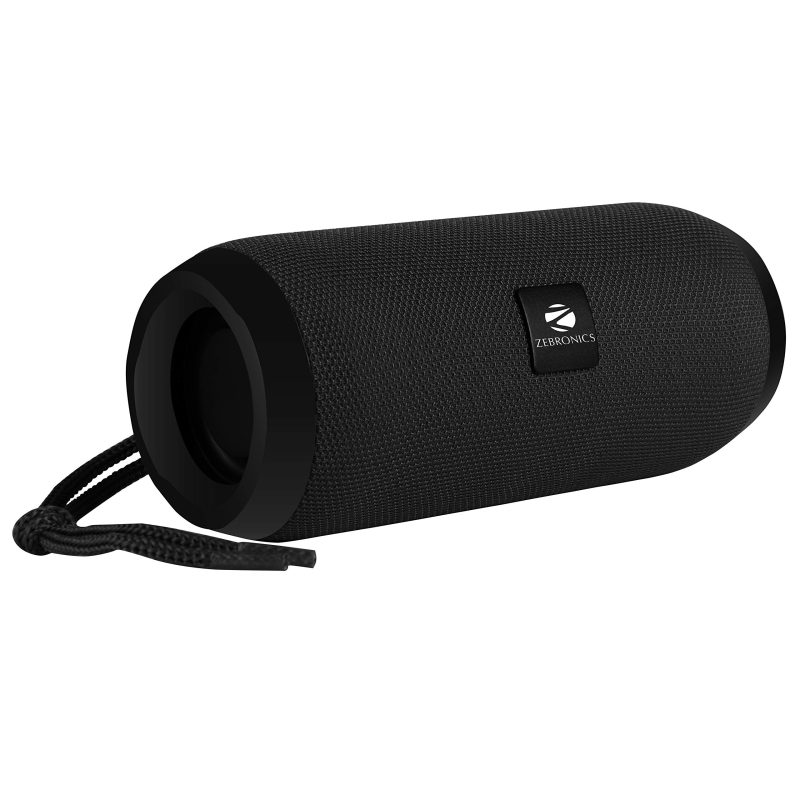 Zebronics Zeb-Action Portable BT Speaker